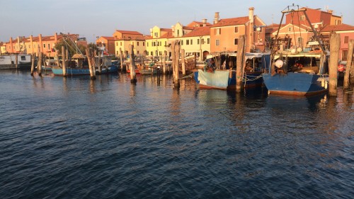 Wildes Venedig